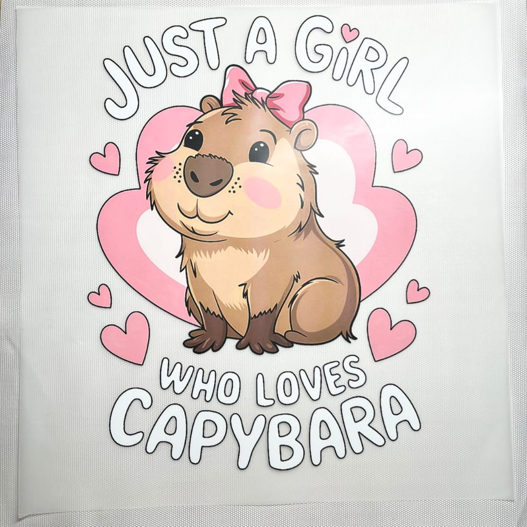 10inch Size DTF Heat Transfer ,Cartoon , Capybara