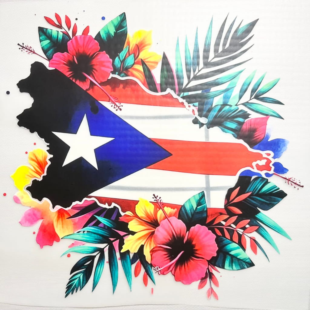 10inch Size DTF Heat Transfer, Puerto Rico & PR Country