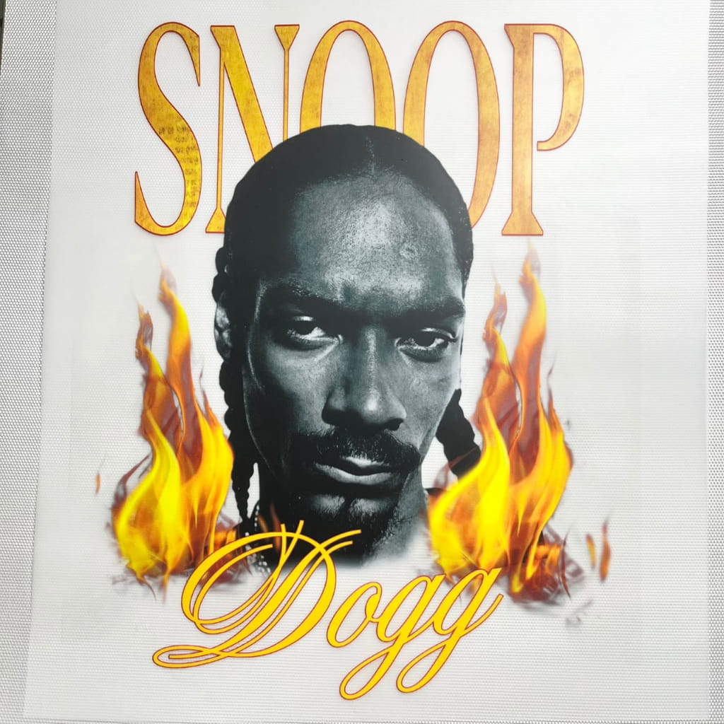 10inch Size DTF Heat Transfer,Singer & Celebrity ,Snoop Dogg
