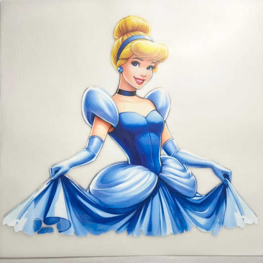10inch Size DTF Heat Transfer ,Cartoon ,Princess ,Cinderella