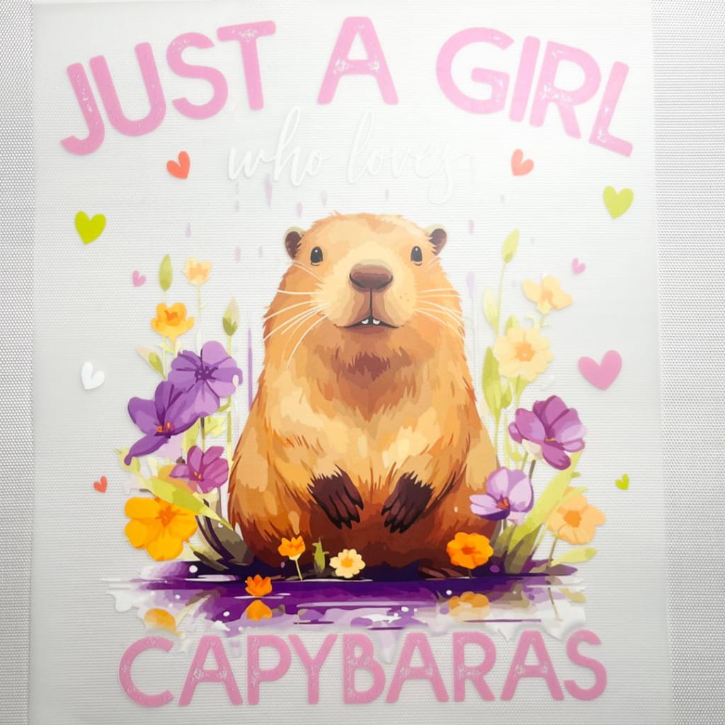 10inch Size DTF Heat Transfer ,Animals ,Capybara