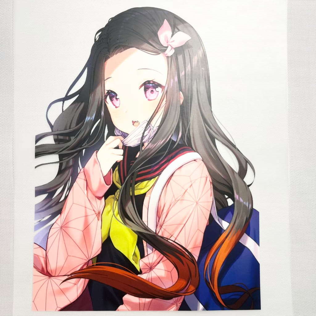 10inch Size DTF Heat Transfer, Cartoon , Japanese Anime